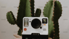 demo-attachment-856-portfolio-8-img