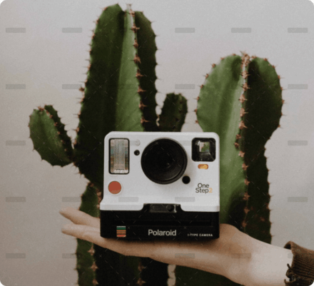 demo-attachment-856-portfolio-8-img